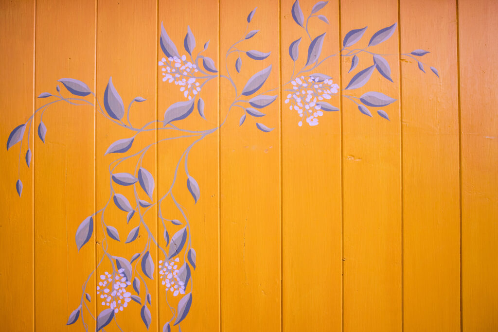 house painting services in Hyderabad